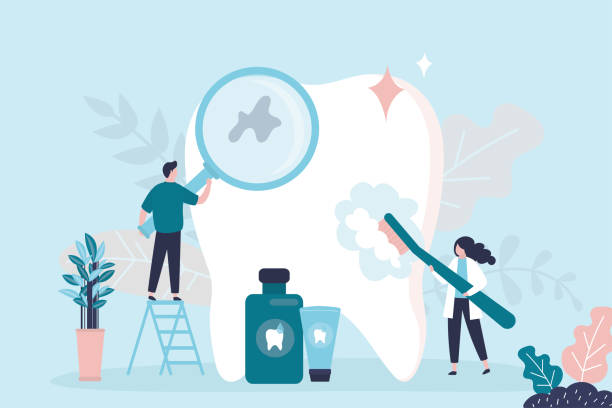 Schertz, TX Holistic Dental Care Services Company